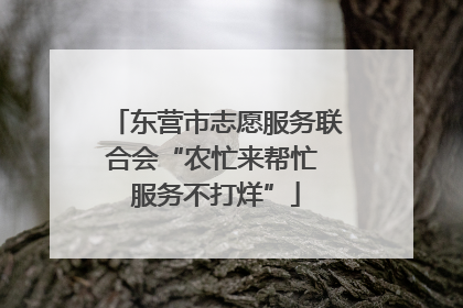 东营市志愿服务联合会“农忙来帮忙 服务不打烊”