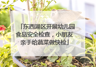 东西湖区开展幼儿园食品安全检查，小朋友亲手给蔬菜做快检