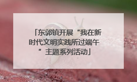 东郭镇开展“我在新时代文明实践所过端午”主题系列活动