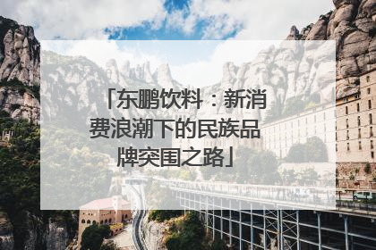 东鹏饮料：新消费浪潮下的民族品牌突围之路