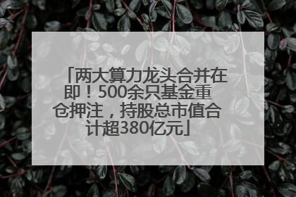 两大算力龙头合并在即！500余只基金重仓押注，持股总市值合计超380亿元