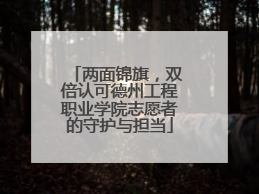两面锦旗，双倍认可德州工程职业学院志愿者的守护与担当