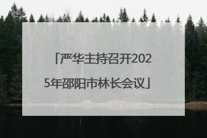 严华主持召开2025年邵阳市林长会议