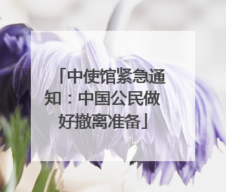 中使馆紧急通知：中国公民做好撤离准备