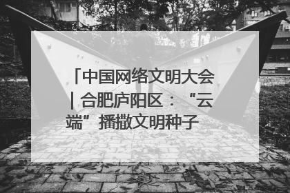 中国网络文明大会｜合肥庐阳区：“云端”播撒文明种子 共建清朗网络空间