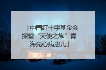 中国红十字基金会探望“天使之旅”青海先心病患儿