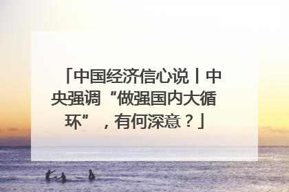 中国经济信心说丨中央强调“做强国内大循环”，有何深意？