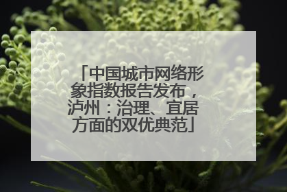 中国城市网络形象指数报告发布，泸州：治理、宜居方面的双优典范