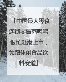 中国最大零食连锁零售商鸣鸣很忙赴港上市，领跑休闲食品饮料赛道