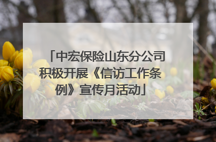 中宏保险山东分公司积极开展《信访工作条例》宣传月活动