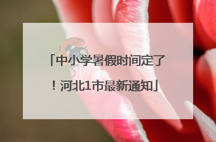 中小学暑假时间定了！河北1市最新通知