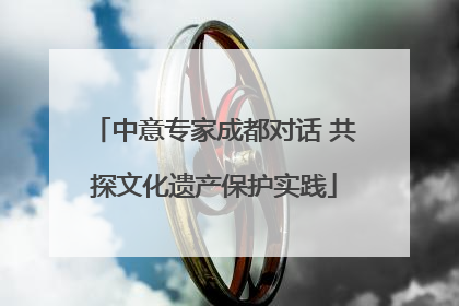 中意专家成都对话 共探文化遗产保护实践