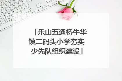 乐山五通桥牛华镇二码头小学夯实少先队组织建设