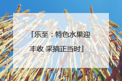 乐至：特色水果迎丰收 采摘正当时