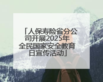 人保寿险省分公司开展2025年全民国家安全教育日宣传活动