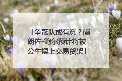 争冠队或有意？曝朗佐-鲍尔预计将被公牛摆上交易货架