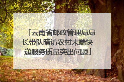 云南省邮政管理局局长带队暗访农村末端快递服务质量突出问题