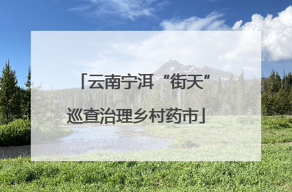 云南宁洱“街天”巡查治理乡村药市