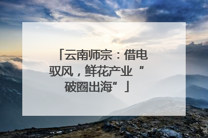 云南师宗：借电驭风，鲜花产业“破圈出海”