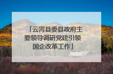 云霄县委县政府主要领导调研党建引领国企改革工作