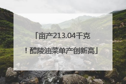 亩产213.04千克！醴陵油菜单产创新高