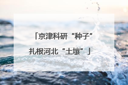 京津科研“种子”扎根河北“土壤”