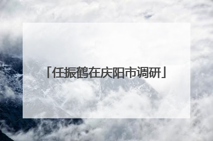 任振鹤在庆阳市调研