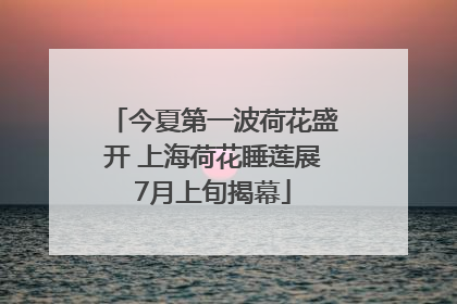 今夏第一波荷花盛开 上海荷花睡莲展7月上旬揭幕