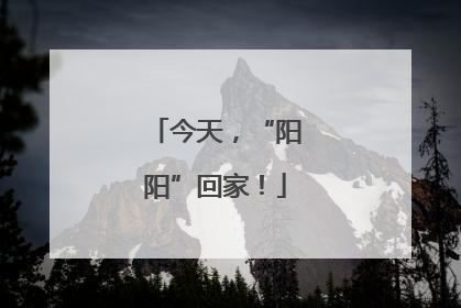 今天，“阳阳”回家！