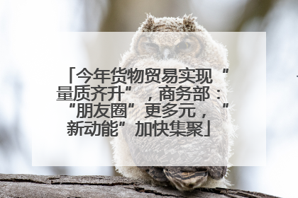 今年货物贸易实现“量质齐升”，商务部：“朋友圈”更多元，“新动能”加快集聚