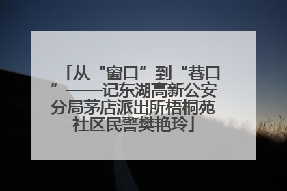 从“窗口”到“巷口”——记东湖高新公安分局茅店派出所梧桐苑社区民警樊艳玲