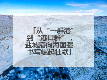 从“一群港”到“港口群”，盐城港向海图强书写崛起壮歌