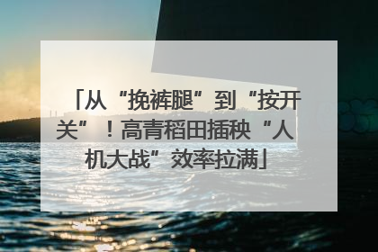 从“挽裤腿”到“按开关”！高青稻田插秧“人机大战”效率拉满