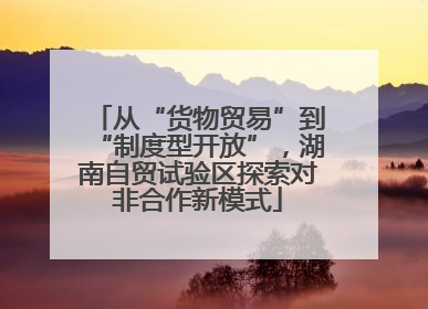 从“货物贸易”到“制度型开放”，湖南自贸试验区探索对非合作新模式