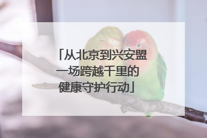 从北京到兴安盟 一场跨越千里的健康守护行动