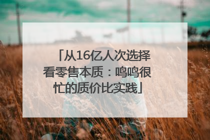 从16亿人次选择看零售本质：鸣鸣很忙的质价比实践