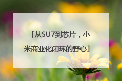 从SU7到芯片，小米商业化闭环的野心