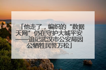 他走了，编织的“数据天网”仍在守护大城平安——追记武汉市公安局因公牺牲民警万松