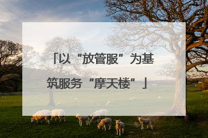 以“放管服”为基筑服务“摩天楼”