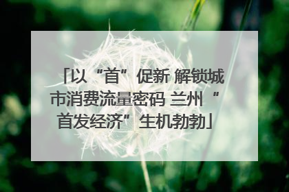 以“首”促新 解锁城市消费流量密码 兰州“首发经济”生机勃勃