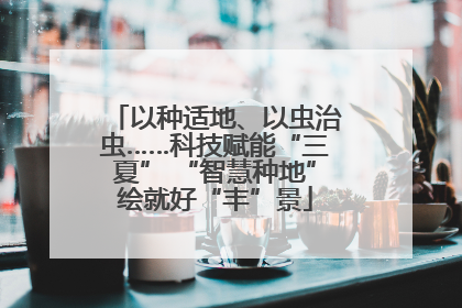 以种适地、以虫治虫……科技赋能“三夏” “智慧种地”绘就好“丰”景