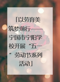 以劳育美 筑梦前行——宁国市宁阳学校开展“五一”劳动节系列活动