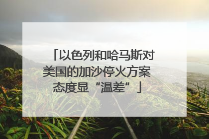 以色列和哈马斯对美国的加沙停火方案态度显“温差”