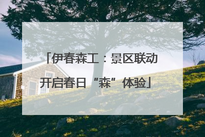 伊春森工：景区联动开启春日“森”体验
