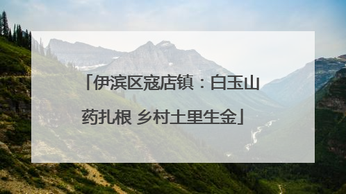 伊滨区寇店镇：白玉山药扎根 乡村土里生金