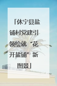 休宁县盐铺村党建引领绘就“花开盐铺”新图景