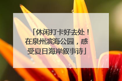 休闲打卡好去处！在泉州滨海公园，感受夏日海岸叙事诗
