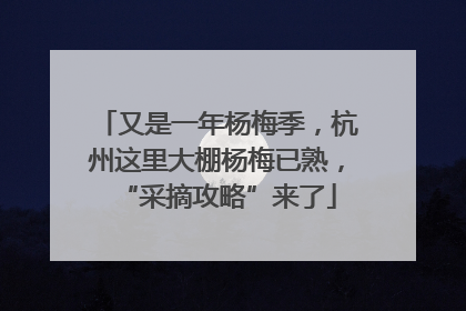又是一年杨梅季，杭州这里大棚杨梅已熟，“采摘攻略”来了