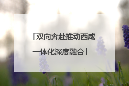 双向奔赴推动西咸一体化深度融合