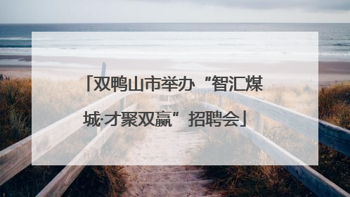 双鸭山市举办“智汇煤城·才聚双赢”招聘会